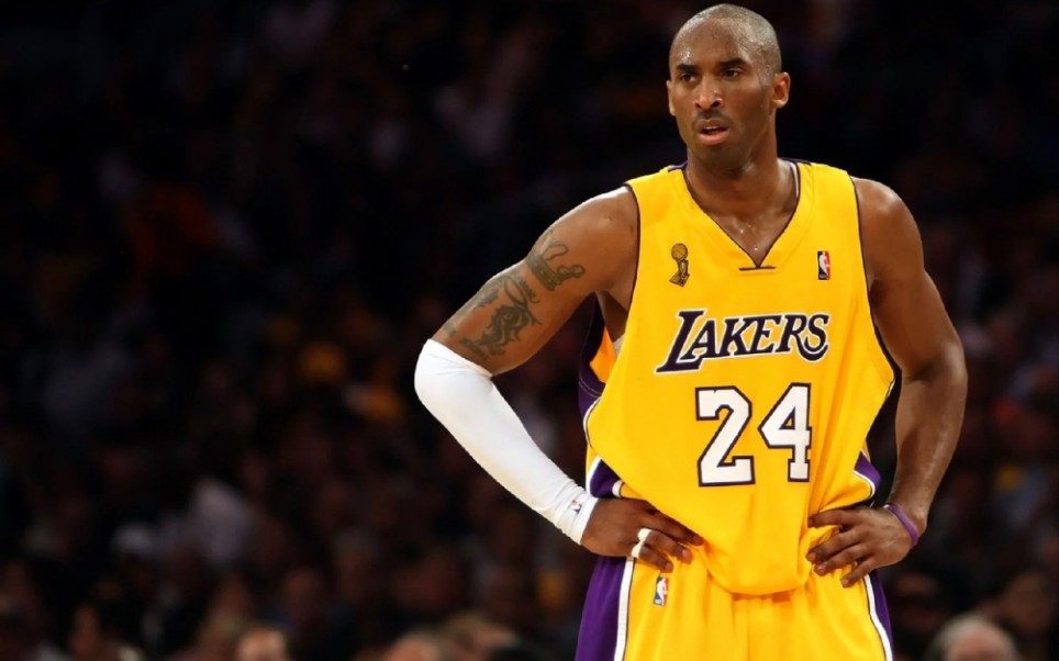 ts在小龙 ts在小龙